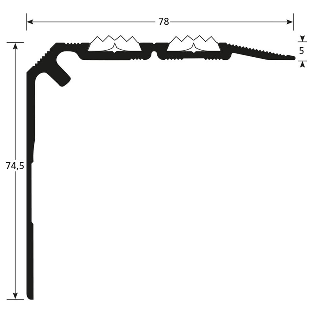 Tekenin trapneus 1350
