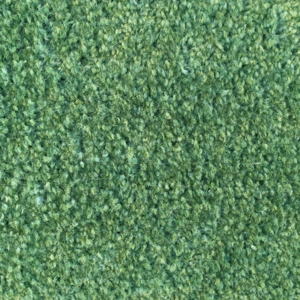 Kleur C66 Light Green