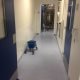 Wandbescherming Cleanroom