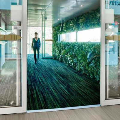 Coral Welcome Voorbeeld