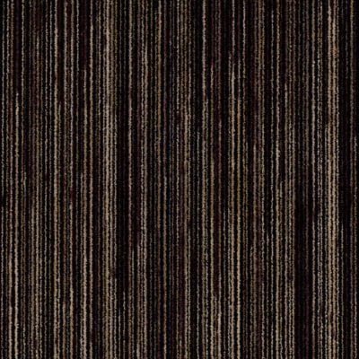 Coral Welcome 3202 Desperado