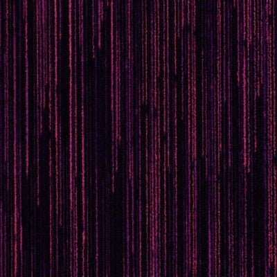 Coral Welcome 3219 Colour Purple