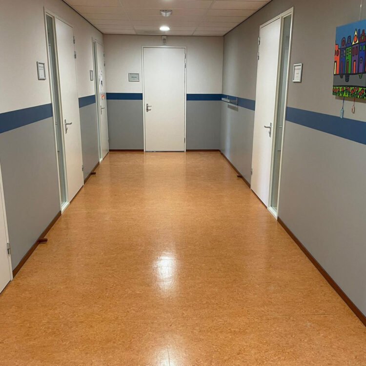 Heeze onderwijsinstelling wandbescherming installatie