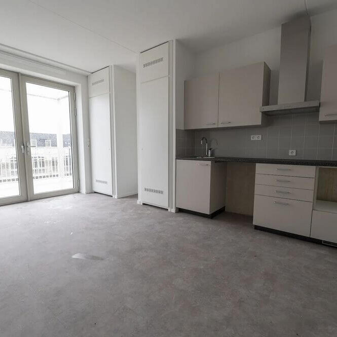 Houthavens Lariks installatie mdf-plinten