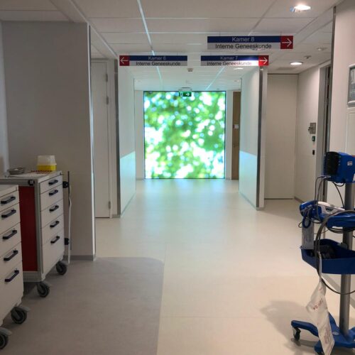 Wandbescherming St Franciscus ziekenhuis